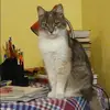 Отзыв от София Лаврова